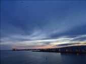 Barcelona sunset; birds; plane: by supergg, Views[350]