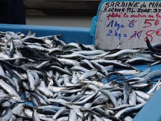 For sale direct from the fisherman