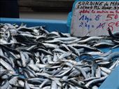 For sale direct from the fisherman: by supergg, Views[355]