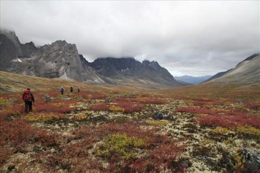 Safety in numbers; Trekkers in Tombstone