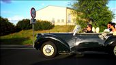 I took this on the highway behind my house in Sevilla and just so happened I caught this on my camera at such speed and I Iove how everywhere you go, life is still happening around the world.: by susanagitana, Views[821]