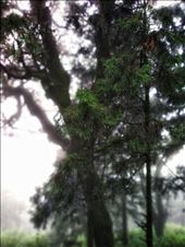 1: by sushil, Views[154]