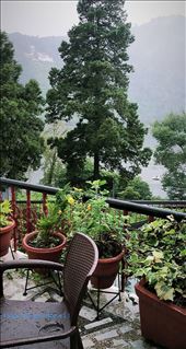 gallery: by sushil, Views[119]