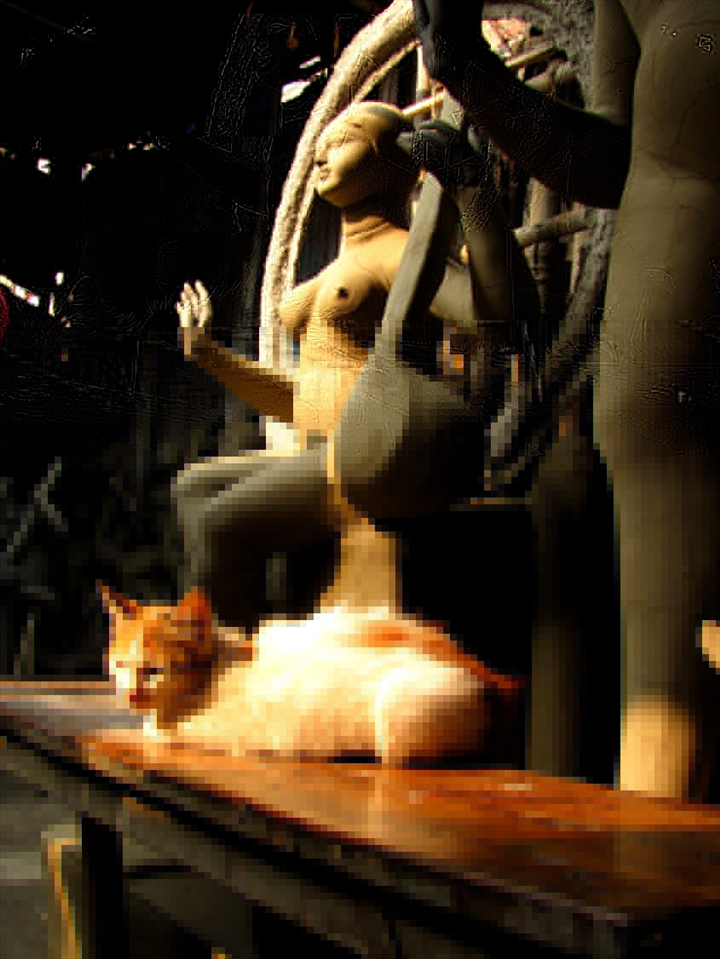 A cat warms itself in the afternoon sun of a pleasant winter. The artisan's workshops are usually open to all kinds of visitors, man and beast. Kolkata, India.