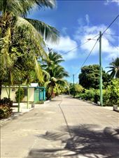 by susiequaid, Views[142]