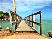 Moa Island at Kubin Village: by susiequaid, Views[626]