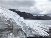 by suvarn_sastri_naidoo, Views[339]