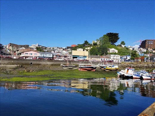 Loved the buildings reflecting in the water.