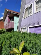 Colorful houses.: by suziqtn, Views[212]