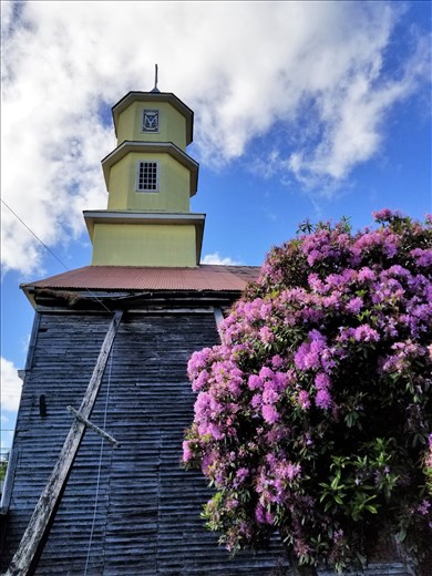 Note the huge rhododendron!