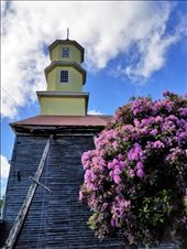 Note the huge rhododendron!: by suziqtn, Views[287]