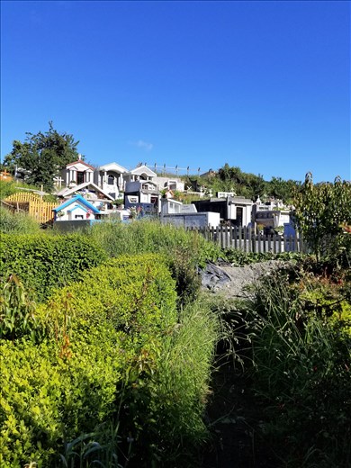 Hillside full of mausoleums.