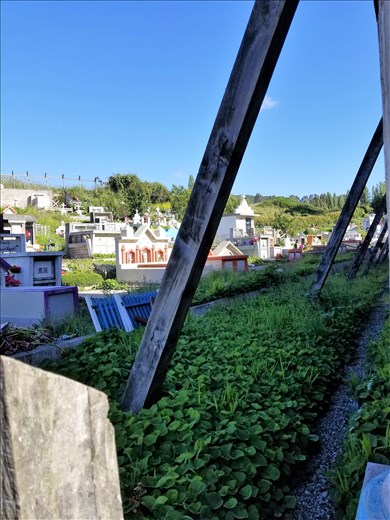 Wooden buttresses supporting the church.