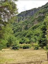 by suziqtn, Views[165]