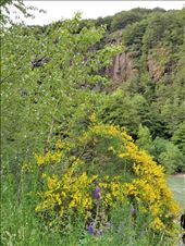 by suziqtn, Views[190]