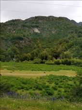 by suziqtn, Views[156]