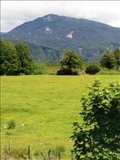 by suziqtn, Views[171]