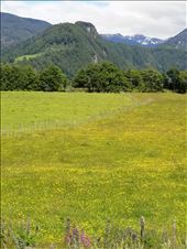 by suziqtn, Views[189]