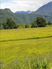 by suziqtn, Views[184]