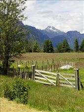 by suziqtn, Views[180]