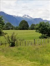 by suziqtn, Views[188]