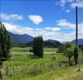 by suziqtn, Views[175]