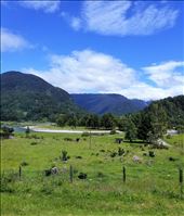 by suziqtn, Views[153]