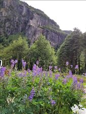 by suziqtn, Views[185]