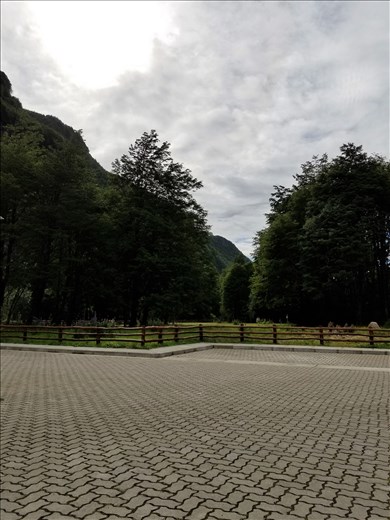 Here is another example of an interesting pattern in a parking lot at Rio Simpson Reserve.