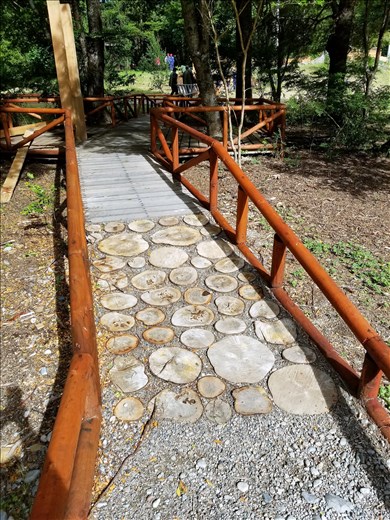 And, an interesting use of wood slabs with gravel for a pathway....also at Rio Simpson Reserve.
