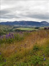 by suziqtn, Views[165]