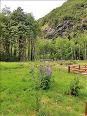 by suziqtn, Views[358]