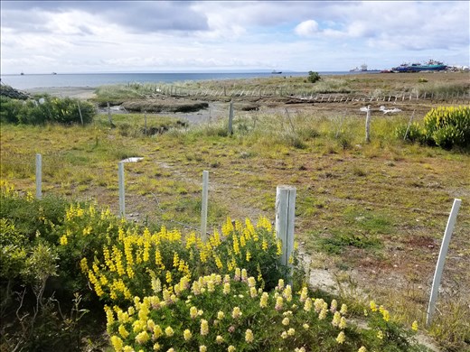 Another view of the Strait of Magellan. It was astounding that these explorers traveled in the ships they did.