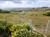 Another view of the Strait of Magellan. It was astounding that these explorers traveled in the ships they did.: by suziqtn, Views[233]