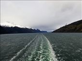 Saying good-bye to Glacier Alley from the back of the ship. It was one of the most beautiful and awesome places we saw.: by suziqtn, Views[318]