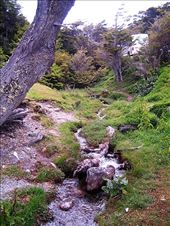 by suziqtn, Views[159]