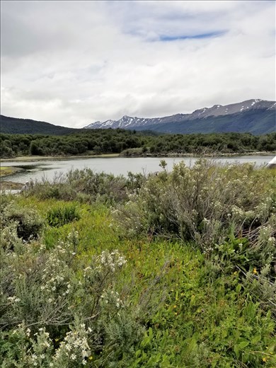 The end of the world.