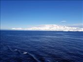 by suziqtn, Views[238]