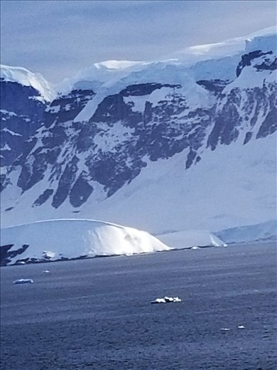 We saw lots of ice floes. The different ice forms are divided into categories: Icebergs, bergy bits, growlers and brash ice.