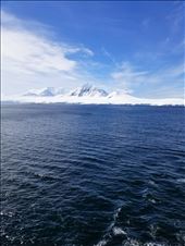 by suziqtn, Views[178]