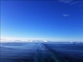 by suziqtn, Views[186]
