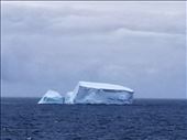 This first iceberg was only a minor preview of what was to come. We saw it just before our first glimpses of Antarctica.: by suziqtn, Views[156]