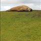 Here's a big female elephant seal, quite scarred. Views[303]