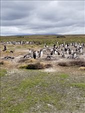 by suziqtn, Views[212]