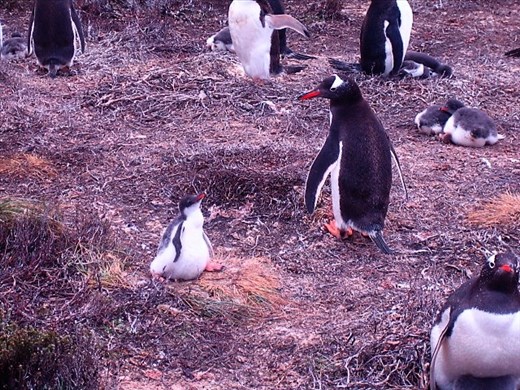 Showing some independence.