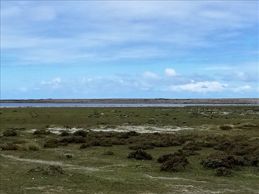 Photo taken at Kelp Point.