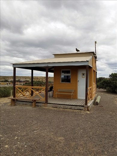 This is at the rookery. Some sort of sea bird was sitting on top of this structure.