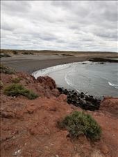 There were over a million penguins here. They swim from here to Rio de Janeiro, a distance of almost 2500 miles! They were having great fun in the water.: by suziqtn, Views[337]