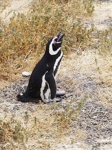 Please! get out of here and leave us in peace....