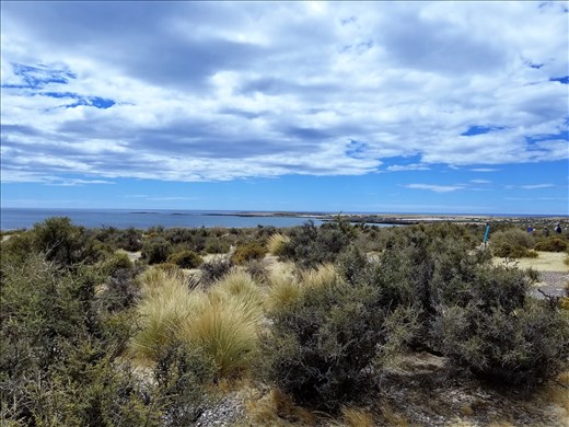 A good view of the sea with the grasses in the foreground.